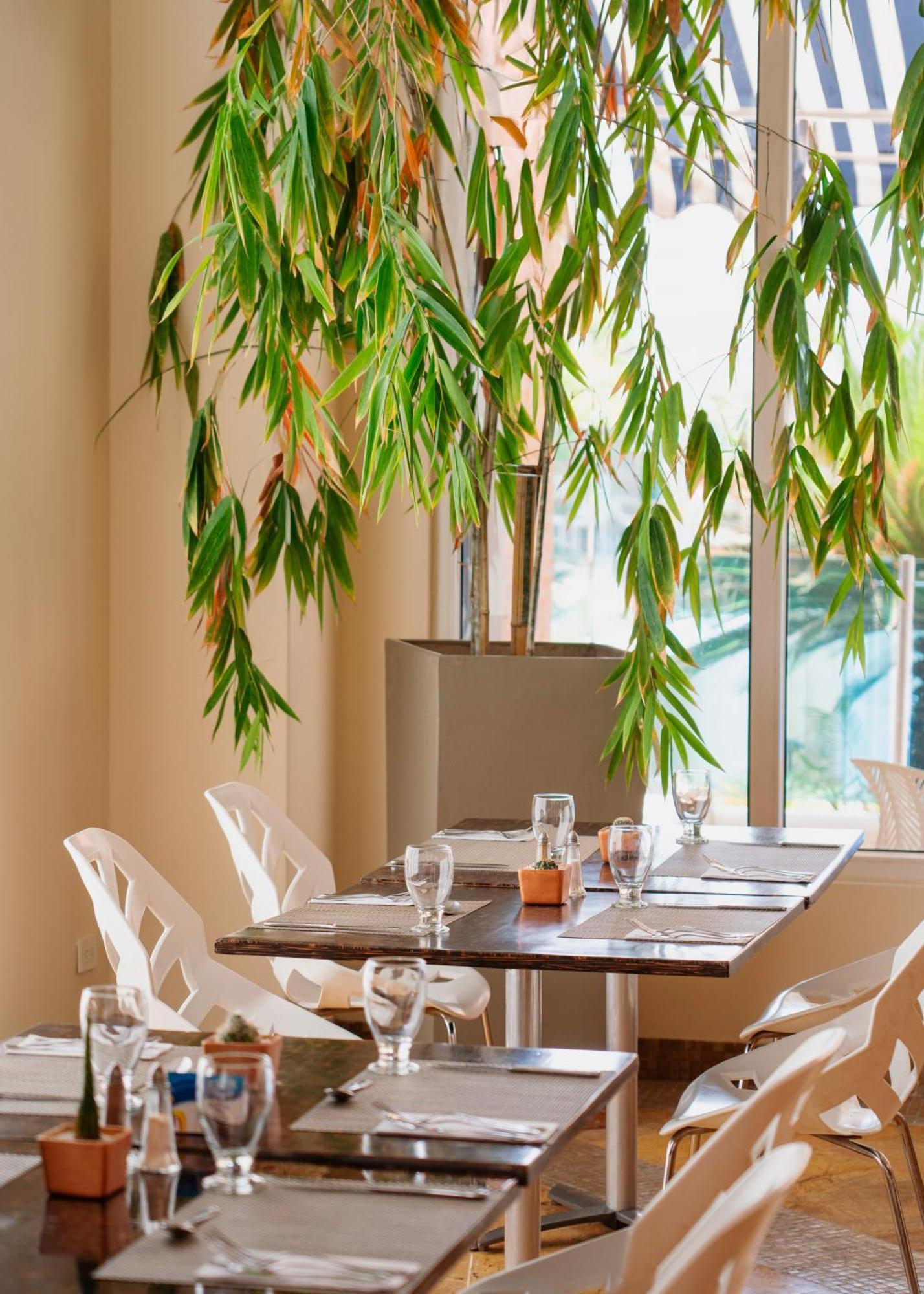 Hotel Dann Carlton Barranquilla Y Centro De Convenciones ภายนอก รูปภาพ Interior of the restaurant